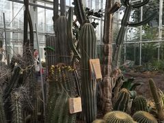 -国家植物园南园