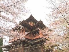 -西安青龙寺遗址景区