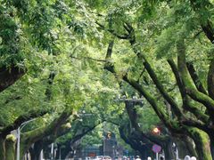 -颐和路民国时期公馆风貌区