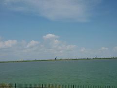 android_upload_pic-江滩湿地公园