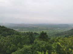 -南京市无想山景区
