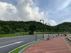 -野狸岛