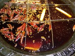 -红九格老火锅(三峡广场店)