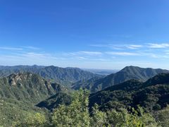 -大岭沟猕猴桃谷风景区