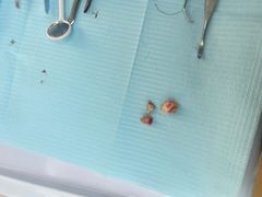 -牙博士口腔品牌连锁(杨浦店)