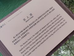 -美人谷景区
