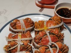 -杨氏青龙虾·羊蝎子(托乐嘉店)