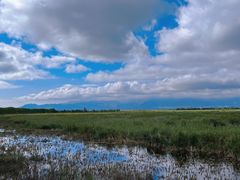 -野鸭湖国家湿地公园