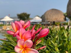 -亚龙湾希尔顿自助餐厅·海鲜·烧烤·沙滩BBQ·现场乐队
