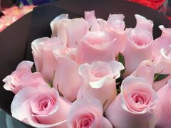 -双季花艺园艺市场(浦东店)