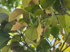 -昆山城市生态森林公园