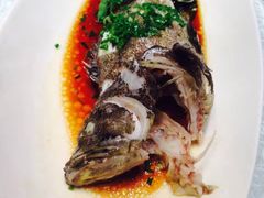 -外高桥喜来登酒店采悦轩