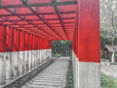 -重庆彩云湖湿地公园