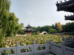 -马大刚白记包子