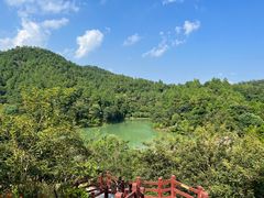 -广州白江湖森林公园