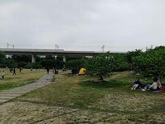 -秀丽东方