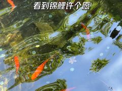 -寂照庵