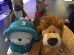 -PAWTOY爪e玩偶店(天兴罗斯福店)