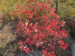 -北京西山国家森林公园