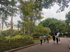 -东风公园