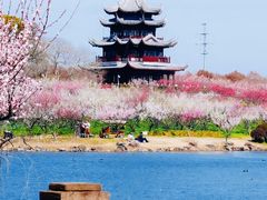 -上海海湾国家森林公园