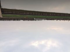 垂鱼塘-明珠湖天鹅苑·农家菜馆