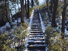 -莫干山风景区