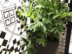 -大厨的餐厅(曾厝垵总店)