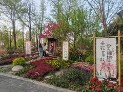 -圩墩遗址公园