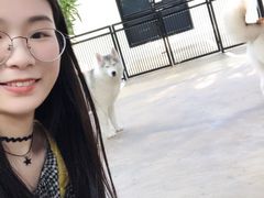 -TrueLove @ Neverland (Husky Cafe)