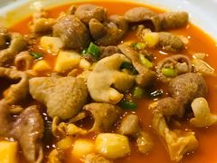 江油肥肠（不正宗）-富乐山酒店(西黄城根北街店)