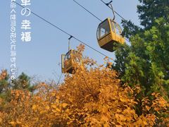 -八大处公园