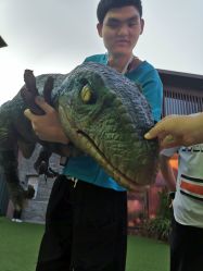 -恐龙探索乐园(磁器口店)