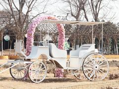 -武汉紫薇都市田园