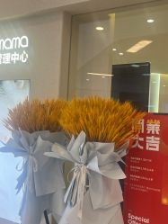 -美丽妈妈产后恢复中心(三林店)
