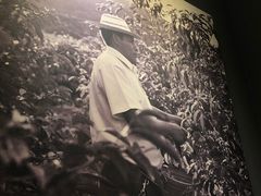 -星巴克臻选(重庆沙坪坝店)