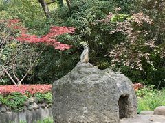-上海野生动物园