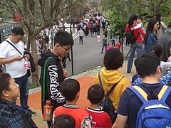 -枫香湖儿童公园