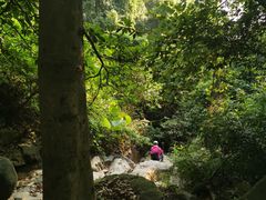 -火炉山森林公园