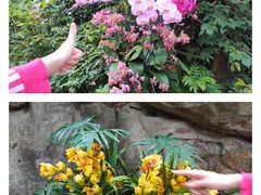 -广州市白云山风景名胜区