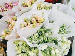 -循礼门鲜花花市(武汉循礼门店)