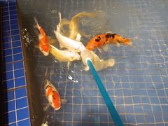 -昆明大悦城未来动物城(螺蛳湾中心店)