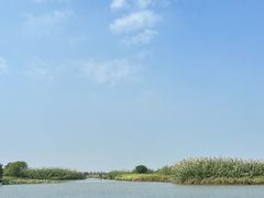 -宁波杭州湾国家湿地公园