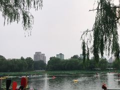 -WhaleSports户外水上运动俱乐部(朝阳公园店)