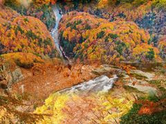 -光雾山旅游景区