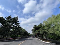 -北陵公园