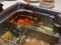 -海底捞火锅(吾悦国际广场店)