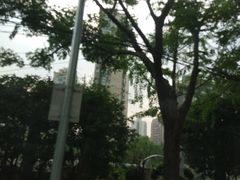 -新湖明珠城