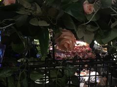 -别院里音乐餐酒吧(双流航空港店)