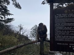 -峨眉山风景名胜区